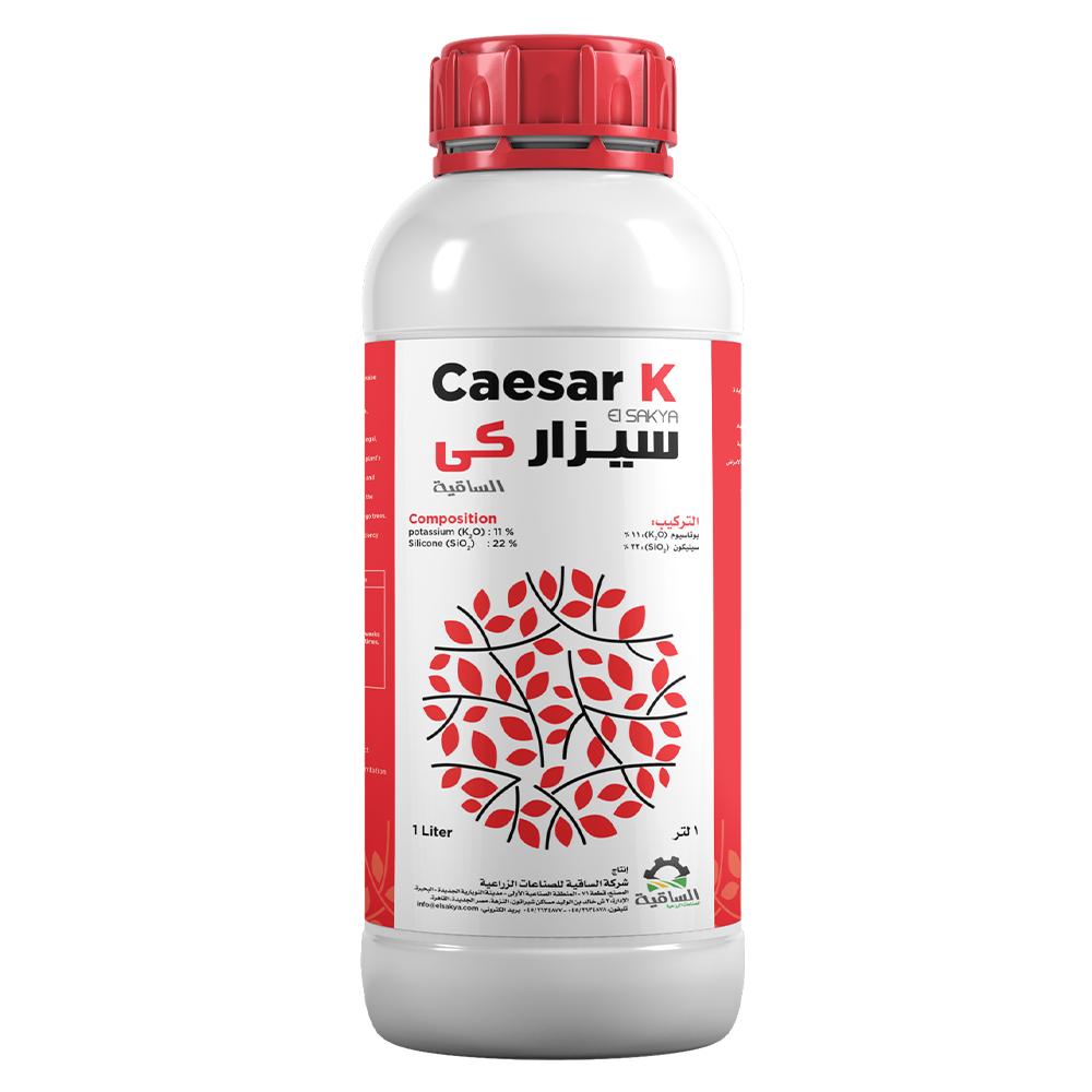 Caesar K 1L - الساقية للصناعات الزراعية