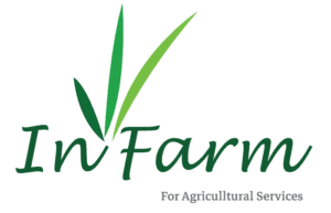 مركب فورتي فيد 5-0-50 بلس - يساعد النبات في مرحلة نضج الثمار و العقد - من شركة الساقية للصناعات الزراعية 6 ان فارم للخدمات الزراعية