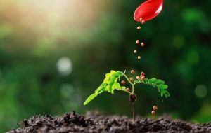 الأسمدة المتخصصة