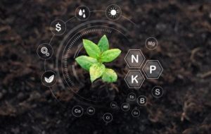 مغذيات ومصححات الملوحة