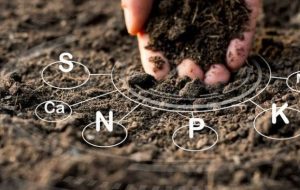 مغذيات ومصححات للعناصر الأساسية